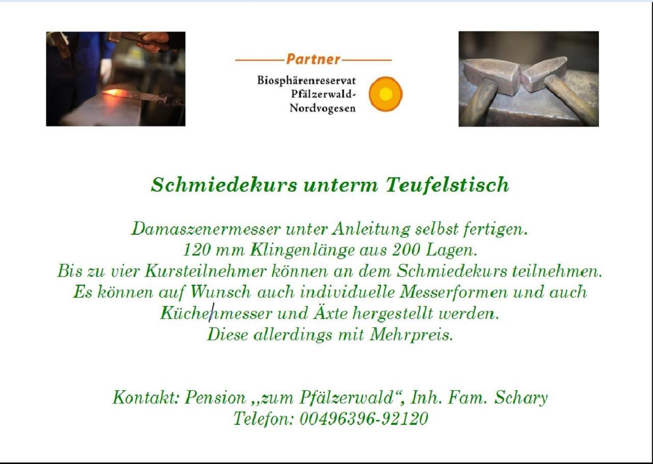 Pension - Gaestehaus Zum Pfaelzerwald Hinterweidenthal Экстерьер фото