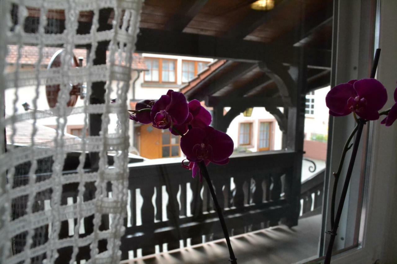 Pension - Gaestehaus Zum Pfaelzerwald Hinterweidenthal Экстерьер фото